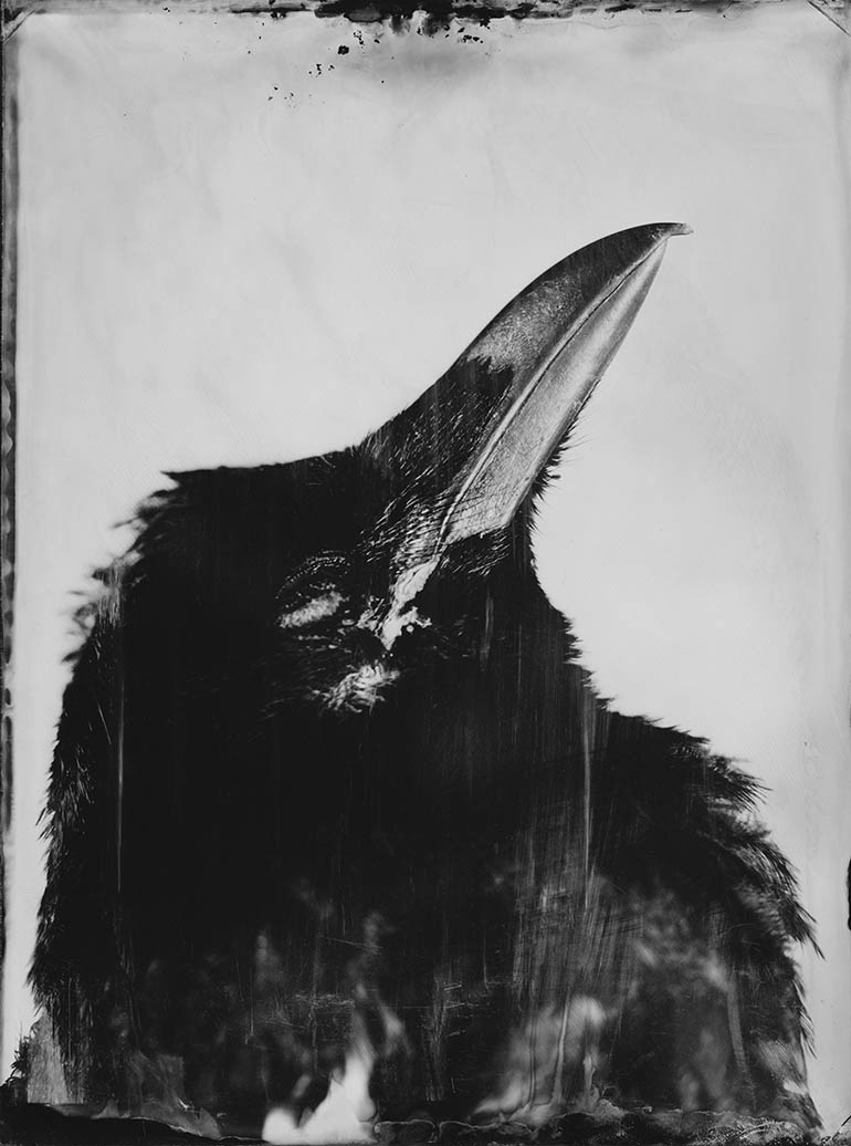 Demise Print #004 (Limited Edition)